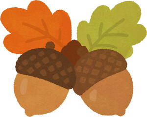 Autumn acorns with colorful oak leaves © NARA