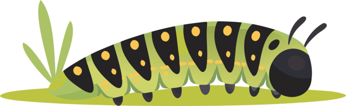 vector caterpillar illustration realistic hand drawn