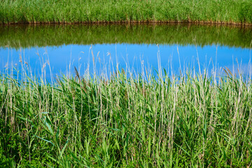 Obraz premium Agricultural landscape on Mando Island, Denmark.