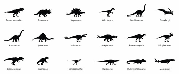 Set of eighteen black dinosaur silhouettes including tyrannosaurus rex, triceratops, stegosaurus, and other prehistoric reptiles with labels on a white background © Animal-Vactor
