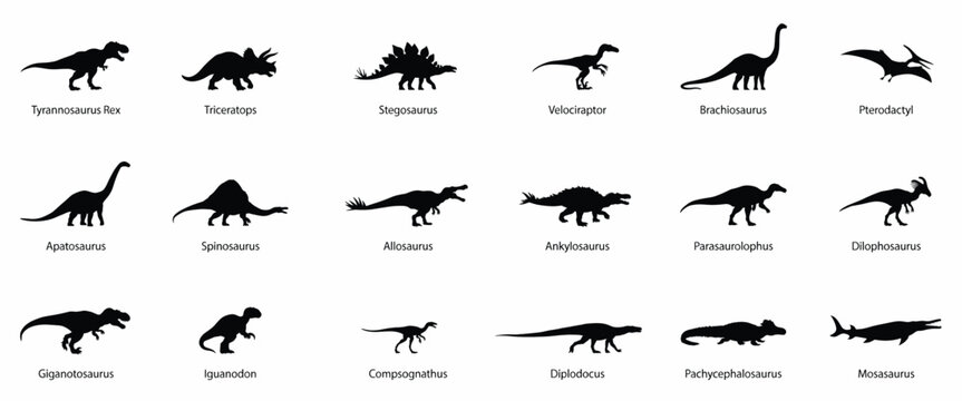 Set of eighteen black dinosaur silhouettes including tyrannosaurus rex, triceratops, stegosaurus, and other prehistoric reptiles with labels on a white background