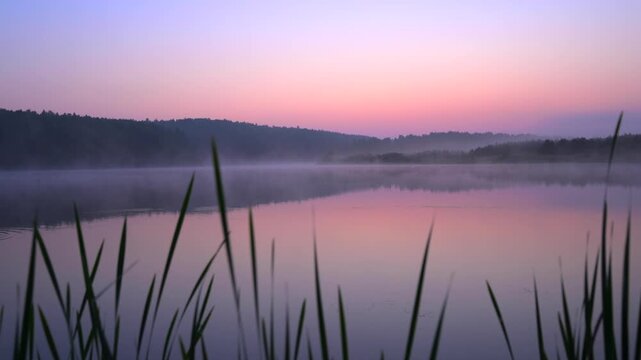 Misty lake at dawn with reeds and pastel sky