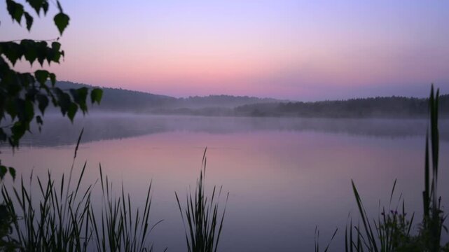 Misty lake at dawn with reeds and pastel sky