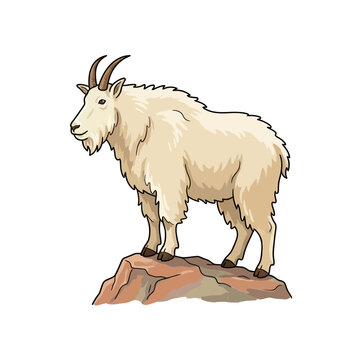 A majestic mountain goat with white fur and horns stands proudly on a rocky outcrop, depicted in a cartoon style.