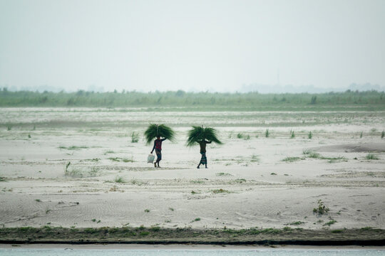 Two men carrying bundles of grass on their heads across a river sandbar, Dhaka Division, Shivalaya, Bangladesh