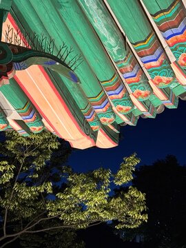 Colorful Korean traditional Dancheong eaves with illuminated green tree at night
