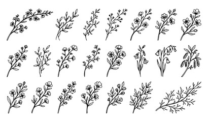 Fototapeta premium Hand Drawn Botanical Branches and Wildflower Line Art Vector Collection