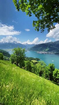 Panning vertical shot of alpine mountain scenery with blooming meadows and mountain lake in Zell am See, Salzburg Land, Austria