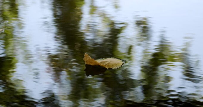 Single autumn leaf drifting on a calm, rippling river surface. Concept of seasonal change, natural flow, tranquility, solitude, and environmental serenity. 4K.