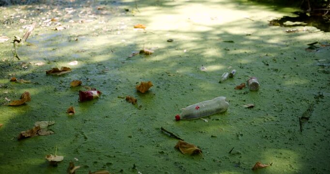 Discarded plastic bottle floating in algae-covered water alongside fallen leaves. Concept of water pollution, environmental contamination, plastic waste crisis, and ecological conservation. 4K.