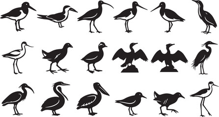 Fototapeta premium Wild Coastal Birds Silhouette Icon Collection Set