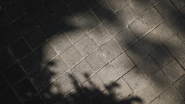 Abstract dappled sunlight shadow pattern falling on dark grey granite paving tiles.