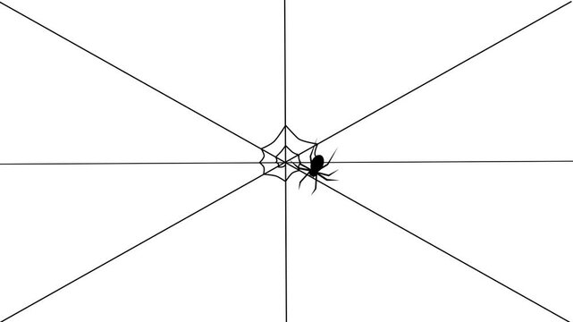 Silhouette animation video of a spider spinning a web - Minimalist concept 