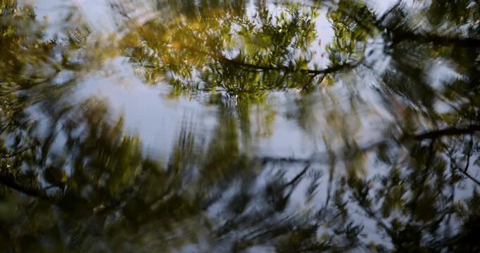 Abstract water surface with gentle ripples distorting the reflection of surrounding green trees and sky. 4K slow motion.