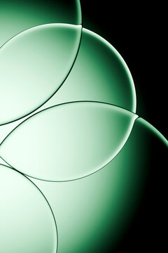 3D glass circles mint curves copyspace and overlap create a macro biomorphic composition with luminous translucent depth
