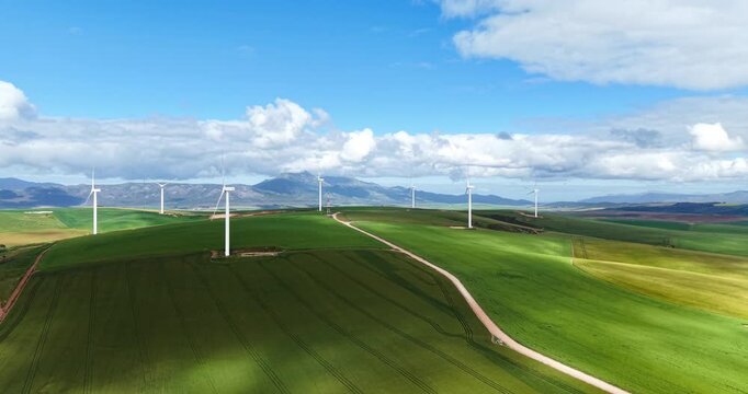 Scenic aerial footage of wind turbines turning above vibrant yellow canola farmland in the Western Cape, South Africa. A compelling view of clean energy within a rural agricultural setting.
