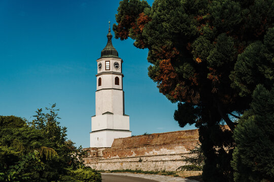 The Sahat Kula clock tower rises behind stone walls and trees at Belgrade Fortress. Serbia travel, heritage, architecture and sightseeing concept.
