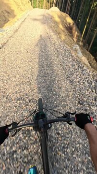 POV Vertical Video Of Mountain Biker Riding On Gravel Forest Trail