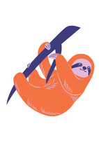 Fototapeta premium sloth hanging on branch wildlife nature exploration