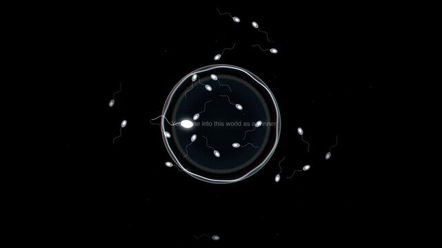 Many sperm cells swimming towards a large egg cell with winning message text on a dark black background representing the miracle of human life and biological conception 4k Motion Video