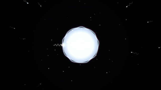 A single bright human egg cell surrounded by swimming sperm cells in a dark microscopic environment representing the concept of fertilization and biological reproduction 4k Motion Video