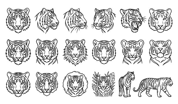 Tiger Logo and Mascot Collection with Detailed Black and White Wild Cat Head Portraits and Full Body Line Art Illustrations