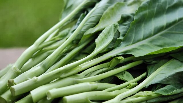 Fresh Chinese kale arranged in a natural wood plate
