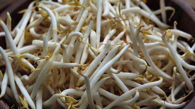 Fresh bean sprouts arranged in a natural wooden bowl