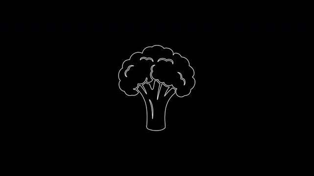 Single continuous line drawing of broccoli vegetable