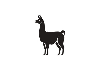 Fototapeta premium Black alpaca silhouette standing in profile view.