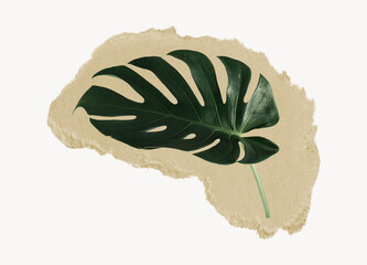 Monstera leaf, ripped paper collage element © Rawpixel.com
