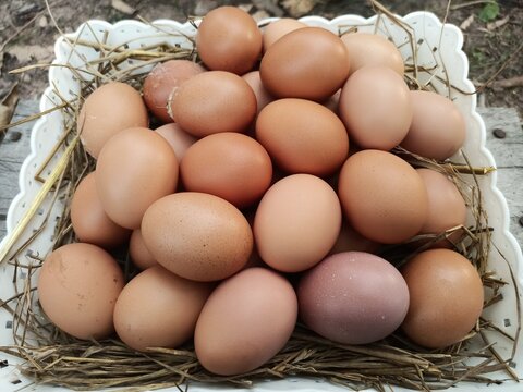 eggs in a basket