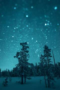Tilt-Shift View of Stars Above a Winter Forest