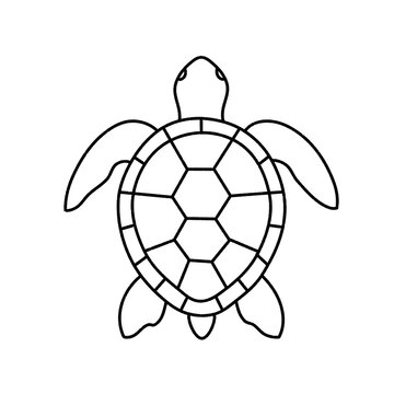 Hand Drawn Sea Turtle Minimalist Line Art Icon Illustration