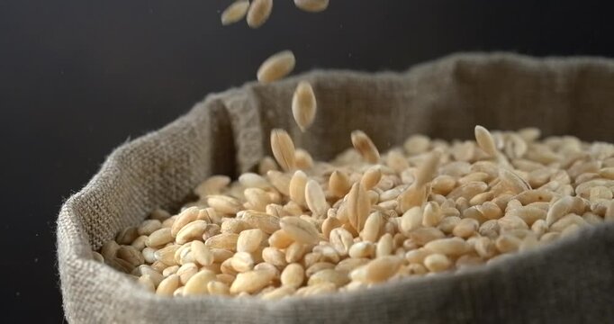 Pearl barley grains falling into burlap sack in super slow motion