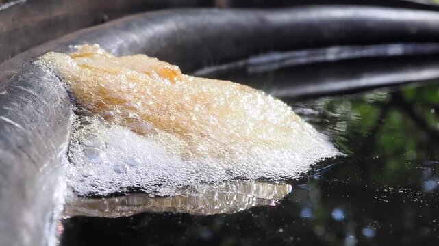 Cluster of yellowish-white foam floats on the dark water surface against the edge of a plastic container this is a frog egg mass or foam nest.