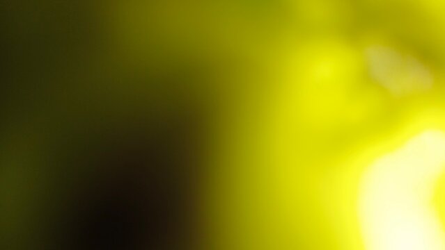 Yellow abstract background texture with smooth gradients of bright lime green and deep shadows for creative graphic design projects
