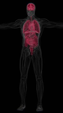 Diabetic ketoacidosis (DKA) is a serious metabolic complication of diabetes that occurs when insufficient insulin leads to elevated blood glucose and increased production of ketones in Vertical UHD