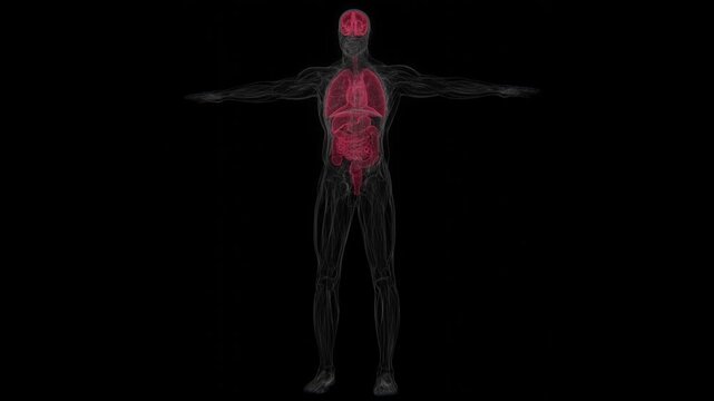 Diabetic ketoacidosis (DKA) is a serious metabolic complication of diabetes that occurs when insufficient insulin leads to elevated blood glucose and increased production of ketones in 4K UHD