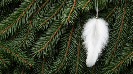 Fototapeta premium Delicate white angel wings gently suspended from an evergreen tree create a whimsical touch to the holiday atmosphere