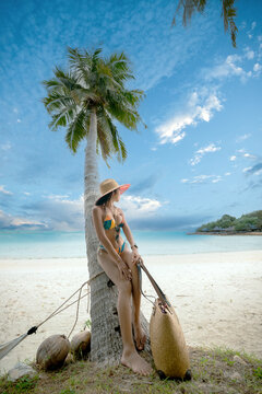Woman tourist stay enjoy the nature of summer on the tropical island under shadow of the coconut palm trees at the edge of the sea beach