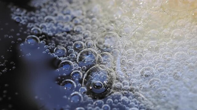 Cluster of yellowish-white foam floats on the dark water surface against the edge of a plastic container this is a frog egg mass or foam nest.