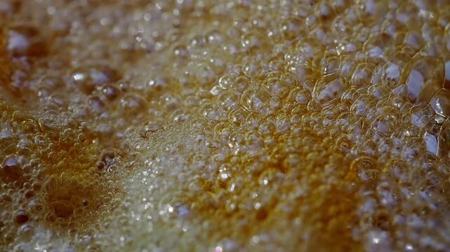 Cluster of yellowish-white foam floats on the dark water surface against the edge of a plastic container this is a frog egg mass or foam nest.