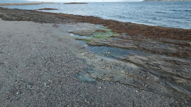 Rocky shoreline with seaweed on Munkholmen island Trondheimsfjord