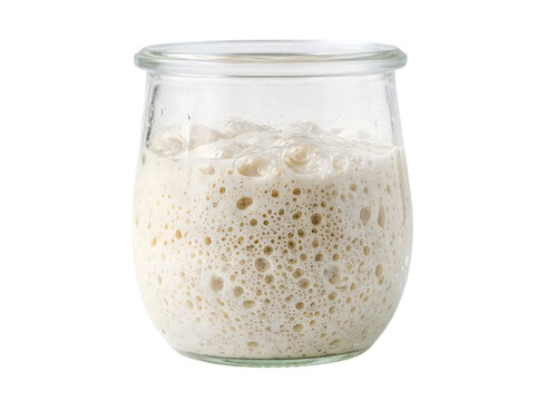 Fresh sourdough starter bubbling in a small glass jar for bread baking isolated on transparent background