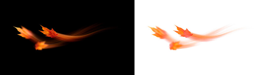 Flying autumn maple leaves with motion trails isolated PNG effect. Red and orange falling leaves with glowing wind streaks on black and transparent backgrounds, glowing orange motion trails, movement © Russell Edwards