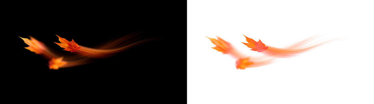 Flying autumn maple leaves with motion trails isolated PNG effect. Red and orange falling leaves with glowing wind streaks on black and transparent backgrounds, glowing orange motion trails, movement