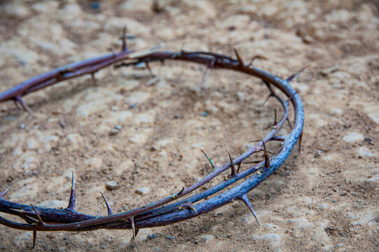 Top view of Crown of thorns representing the sacrifice and suffering of the Holy One.