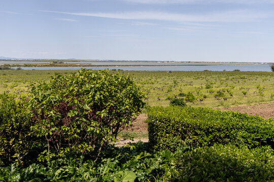 Coastal lagoon landscape at &Eacute;tang des Moures, H&eacute;rault, France