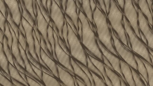 Braided River Channels Shifting Across a Pale Gravel Flat, Aerial Top Down Seamless Loop in subtle ochre tones